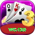 wc t20 Apps (Tools & Injectors) Master v1.6.4