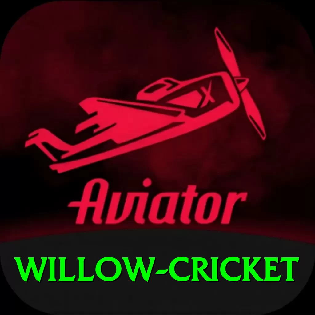 willow cricket Turbo v2.4.5 - 2