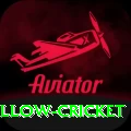 willow cricket Turbo v2.4.5