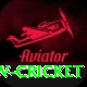 willow cricket Turbo v2.4.5