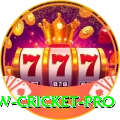 willow cricket Gaming Plus v2.5.4
