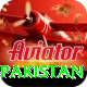 win money online pakistan Pro Max v1.1.0