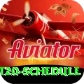 world t20 schedule Premium Plus v2.5.1