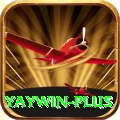 yaywin VIP Pro v3.2.5