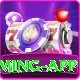 ZK77 Mega Gaming App